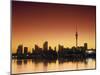 Skyline of Auckland, North Island, New Zealand-Doug Pearson-Mounted Photographic Print