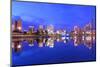 Skyline of Birmingham, Alabama from Railroad Park.-SeanPavonePhoto-Mounted Photographic Print