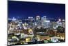 Skyline of Downtown Birmingham, Alabama, Usa.-SeanPavonePhoto-Mounted Photographic Print