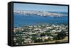 Skyline of Montevideo-null-Framed Stretched Canvas