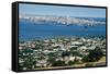 Skyline of Montevideo-null-Framed Stretched Canvas