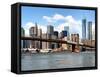 Skyline of NYC with One World Trade Center and East River, Manhattan and Brooklyn Bridge, US-Philippe Hugonnard-Framed Stretched Canvas