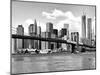 Skyline of NYC with One World Trade Center and East River, Manhattan and Brooklyn Bridge-Philippe Hugonnard-Mounted Art Print