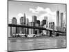 Skyline of NYC with One World Trade Center and East River, Manhattan and Brooklyn Bridge-Philippe Hugonnard-Mounted Art Print