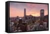 Skyline of Santiago with the Gran Torre, Santiago, Chile, South America-Yadid Levy-Framed Stretched Canvas