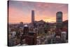 Skyline of Santiago with the Gran Torre, Santiago, Chile, South America-Yadid Levy-Stretched Canvas