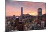 Skyline of Santiago with the Gran Torre, Santiago, Chile, South America-Yadid Levy-Mounted Photographic Print