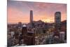 Skyline of Santiago with the Gran Torre, Santiago, Chile, South America-Yadid Levy-Mounted Photographic Print