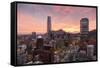 Skyline of Santiago with the Gran Torre, Santiago, Chile, South America-Yadid Levy-Framed Stretched Canvas