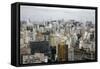 Skyline of Sao Paulo, Brazil, South America-Yadid Levy-Framed Stretched Canvas