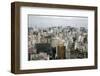 Skyline of Sao Paulo, Brazil, South America-Yadid Levy-Framed Photographic Print