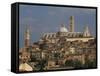 Skyline of Siena, Tuscany, Italy, Europe-Rainford Roy-Framed Stretched Canvas