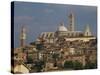 Skyline of Siena, Tuscany, Italy, Europe-Rainford Roy-Stretched Canvas