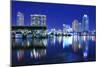 Skyline of St. Petersburg, Florida-SeanPavonePhoto-Mounted Photographic Print