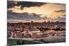 Skyline of the Old City and Temple Mount in Jerusalem, Israel.-SeanPavonePhoto-Mounted Photographic Print