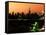 Skyline of the Skyscrapers of Manhattan by Orange Night from Brooklyn-Philippe Hugonnard-Framed Stretched Canvas