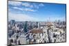 Skyline of Tokyo , Japan at Tokyo Tower-Torsakarin-Mounted Photographic Print