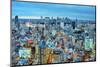 Skyline of Tokyo, Japan towards Shinjuku-SeanPavonePhoto-Mounted Photographic Print