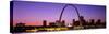 Skyline, St. Louis, MO, USA-null-Stretched Canvas