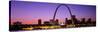 Skyline, St. Louis, MO, USA-null-Stretched Canvas