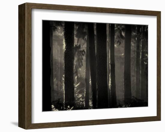 Skynoodle-David Baker-Framed Photographic Print