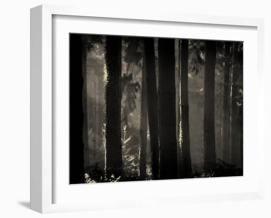 Skynoodle-David Baker-Framed Photographic Print