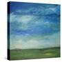 Skyscape 517-Tim Nyberg-Stretched Canvas
