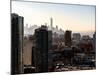 Skyscrapers and Buildings Views-Philippe Hugonnard-Mounted Photographic Print