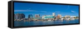 Skyscrapers at the waterfront, Sarasota, Florida, USA-null-Framed Stretched Canvas