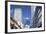 Skyscrapers in Downtown Auckland, North Island, New Zealand, Pacific-Ian-Framed Photographic Print