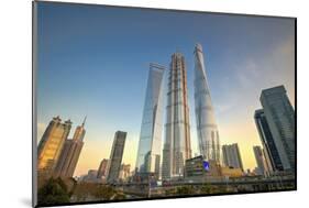 Skyscrapers of Lujiazui, Jin Mao Tower and Shanghai Tower, China-Andy Brandl-Mounted Photographic Print