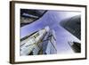 Skyscrapers of the Modern Moscow-City International Business and Finance Development-Gavin Hellier-Framed Photographic Print