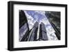 Skyscrapers of the Modern Moscow-City International Business and Finance Development-Gavin Hellier-Framed Photographic Print