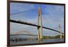 Skytrain Bridge, New Westminster, Vancouver Region, British Columbia, Canada, North America-Richard Cummins-Framed Photographic Print