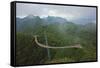 Skywalk, Gunung Machincang, Pulau Langkawi (Langkawi Island), Malaysia, Southeast Asia, Asia-Jochen Schlenker-Framed Stretched Canvas