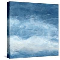 Skyward I-Sharon Chandler-Stretched Canvas