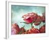 Skyward-Jessica Jenney-Framed Giclee Print