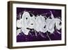 Skywriter II-Joshua Schicker-Framed Giclee Print