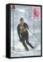 Slalom Ski Racing-null-Framed Stretched Canvas