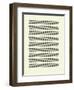 Slash-Philip Sheffield-Framed Giclee Print