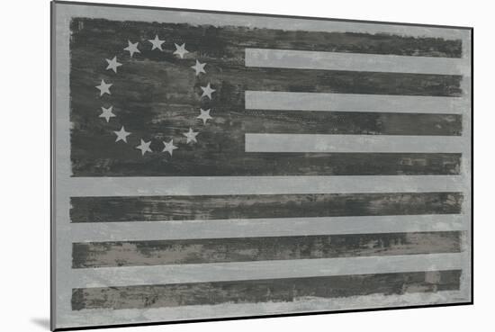 Slate American Flag-Sue Schlabach-Mounted Art Print
