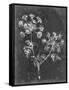 Slate Floral I-Ethan Harper-Framed Stretched Canvas