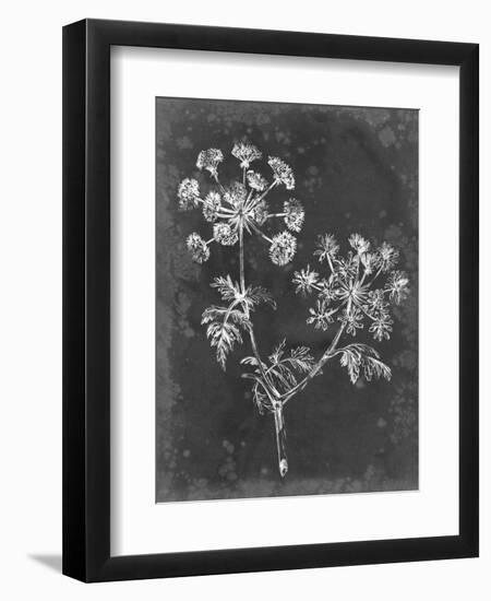 Slate Floral I-Ethan Harper-Framed Art Print