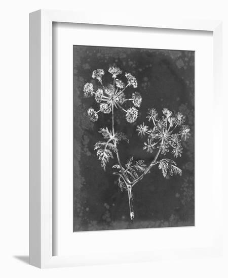 Slate Floral I-Ethan Harper-Framed Art Print