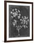 Slate Floral I-Ethan Harper-Framed Art Print