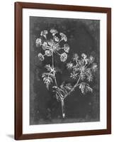 Slate Floral I-Ethan Harper-Framed Art Print