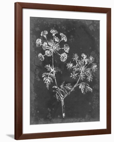 Slate Floral I-Ethan Harper-Framed Art Print