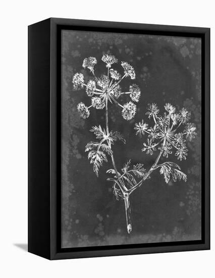 Slate Floral I-Ethan Harper-Framed Stretched Canvas