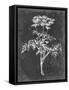 Slate Floral II-Ethan Harper-Framed Stretched Canvas