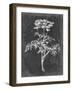 Slate Floral II-Ethan Harper-Framed Art Print